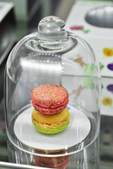 boutique macarons gourmands macaron sous cloche conception studio frvr